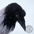 Animatronic crow