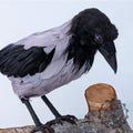 Animatronic crow